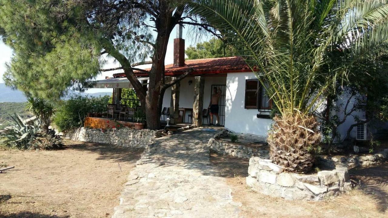 Villa Athos Sarti Exterior foto